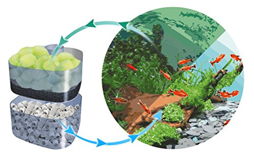 Sera 44519 Crystal Clear Professional - Juego de Vasos (12 Unidades)