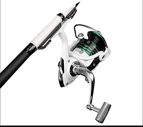 SH-QIAN Carrete De Pesca Rueca Giratoria Relación De Velocidad 5.2: 1 Peso Ligero Alisar Fuerza De Frenado 8 Kg Anticorrosivo Y Duradero Equipo De Pesca De Mar,2000