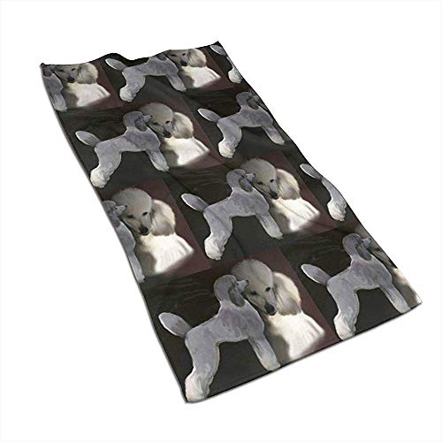 Snbin Caniches en Microfibra Gris y Blanca Toallas de Mano Toallas Toallas de Secado rápido Toallas Deportivas (40x70cm) Uso para Viajes, Fitness, Yoga