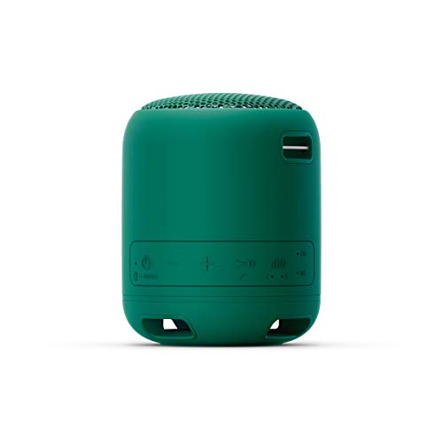 Sony SRS-XB12, Altavoz, Inalámbrico y alámbrico, MicroUSB, Tamaño Único, Verde