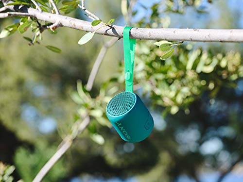 Sony SRS-XB12, Altavoz, Inalámbrico y alámbrico, MicroUSB, Tamaño Único, Verde