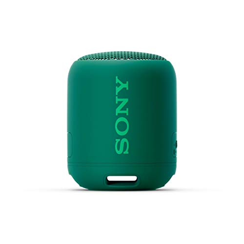 Sony SRS-XB12, Altavoz, Inalámbrico y alámbrico, MicroUSB, Tamaño Único, Verde