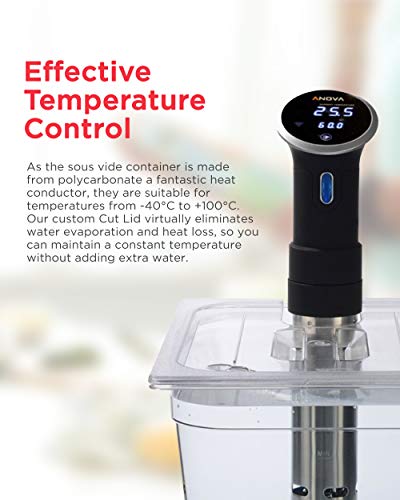 Sous Vide Tools SVT-PS11GN - Recipiente con tapa de corte personalizada, policarbonato, 11,6 litros, transparente