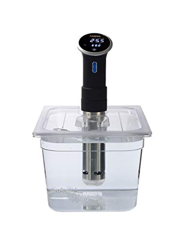 Sous Vide Tools SVT-PS11GN - Recipiente con tapa de corte personalizada, policarbonato, 11,6 litros, transparente