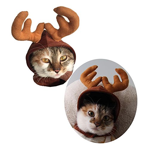 Steellwingsf - Gorro de Navidad para Perro, Cachorro, Gato, Reno, elle, Tallos de Navidad