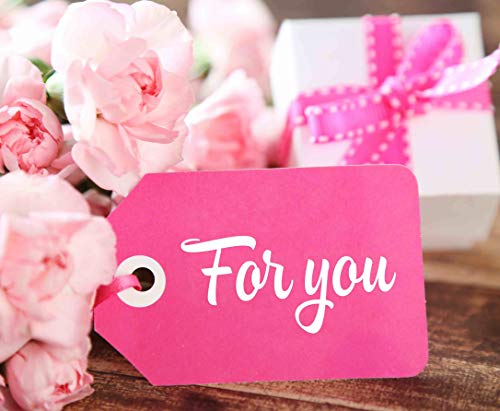 Stephanie Franck Beauty 2 Ventosas de Masaje Anticelulitico My Cellu Shaper turquesa