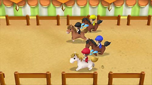 Story Of Seasons: Friends Of Mineral Town