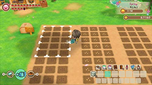 Story Of Seasons: Friends Of Mineral Town