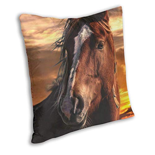 Sunset Brown Horse with White Stripe On Face Velvet Soft Decorative Square Throw Pillow Case Cushion Cover Pillowcase for Livingroom Sofa Bedroom with Invisible Zipper 20x20 Inches
