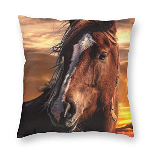 Sunset Brown Horse with White Stripe On Face Velvet Soft Decorative Square Throw Pillow Case Cushion Cover Pillowcase for Livingroom Sofa Bedroom with Invisible Zipper 20x20 Inches