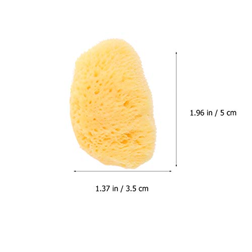 SUPVOX Esponjas marinas naturales para artistas, 2 esponjas de seda marina para pintar, texturizar, esponjar, efecto marmolado