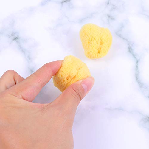 SUPVOX Esponjas marinas naturales para artistas, 2 esponjas de seda marina para pintar, texturizar, esponjar, efecto marmolado