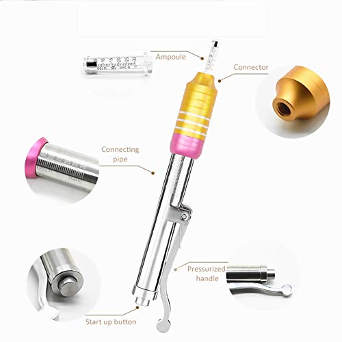 SWGN Pluma de Inyección de Hialuron Ácido Hialurónico Atomizador Hyaluron Pen para Labios de Elevación Anti Arrugas con 10 Cabeza de Ampolla