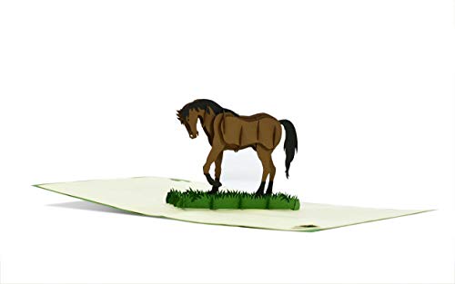 Tarjeta cumpleaños, tarjetas felicitacion cumpleaños con caballo pop up 3d. Cheque regalo, cupon regalo, tarjeta de regalo para regalar en ocasiones especiales, F20