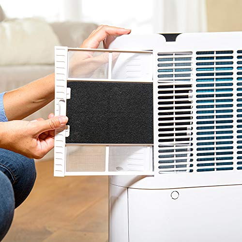 Taurus DH243 Deshumidificador Purificador de Aire 2 En 1, Multicolor, 43 x 25 x 65 cm