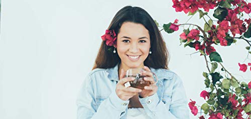 TÉTIQUE Té Verde Energizante orgánico con certificado BIO, 17 bolsitas de tés biodegradables