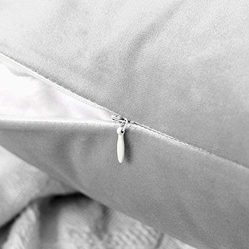 Throw Pillow Cover Decorative Square 16x16 Beige Botanic Composition Tropical Plants Palm Leaves Monsters Nature Basic Blue Botanical Botany Zippered Pillowcase Home Decor Cushion Case 16" X 16"（IN）