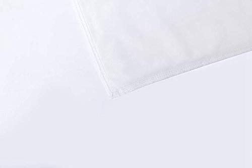 Throw Pillow Cover Decorative Square 16x16 Beige Botanic Composition Tropical Plants Palm Leaves Monsters Nature Basic Blue Botanical Botany Zippered Pillowcase Home Decor Cushion Case 18" X 18"（IN）