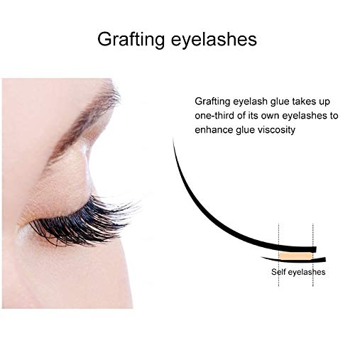 Tienda de Hanks Maquillaje Natural de los latigazos Herramientas Negro pestañas Falsas pestañas de extensión (Color : 8mm)