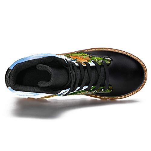 TIZORAX Molino de viento Farm River Paisaje Impresiones Alta Top Encaje hasta Clásico Lona Botas de Invierno Zapatos de Escuela para Hombres Adolescentes Niños, color Multicolor, talla 42 1/3 EU