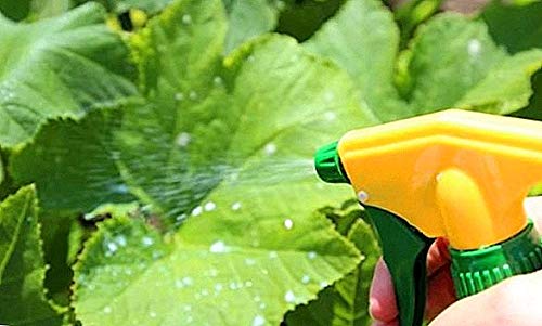 Todo Cultivo Urea 46% Hidrosoluble Cristalina. 1 Kg. (Urea Tecnica foliar). Su aplicación foliar en los Meses de enero, febrero y Marzo estimula y favorece la floración incrementando la Cosecha.