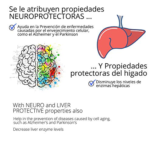 Trans Resveratrol Puro FORTE MICRONIZADO OPTIMA ABSORCION Y BIODISPONIBILIDAD – Antioxidantes Potentes - Extracto Fallopia Japonica - Fortalece Sistema Inmune - Retrasa Envejecimiento – 30 Pastillas