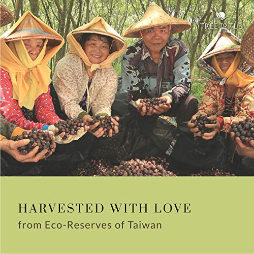 Tree To Tub Champú clarificante para pieles sensibles por Ph 5.5 equilibrado e hipoalergénico para todo tipo de cabello con jabón orgánico de aceite de argán (8.5 oz)