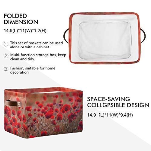 TropicalLife XIXIKO - 2 cestas de almacenamiento de lona con asas para armarios, estantes, guardería, ropa, juguetes, lavandería y habitación de los niños