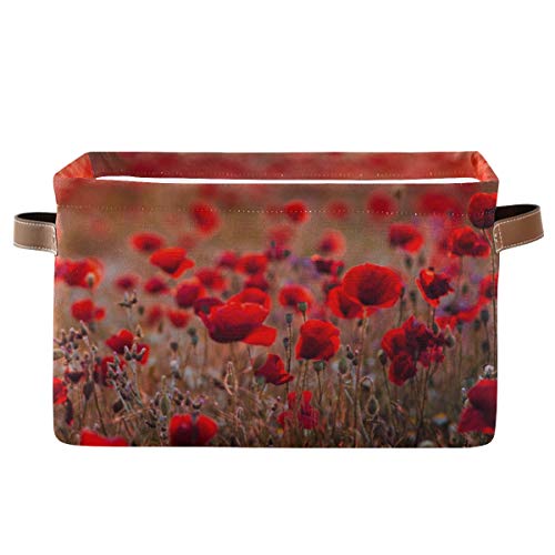 TropicalLife XIXIKO - 2 cestas de almacenamiento de lona con asas para armarios, estantes, guardería, ropa, juguetes, lavandería y habitación de los niños