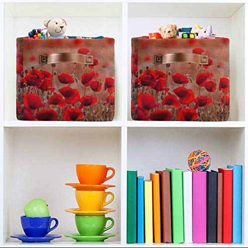 TropicalLife XIXIKO - 2 cestas de almacenamiento de lona con asas para armarios, estantes, guardería, ropa, juguetes, lavandería y habitación de los niños