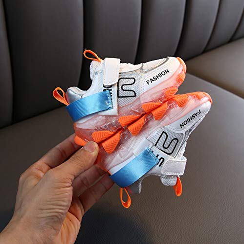 TWIFER Niño pequeño Bebé Niños Niñas Niños Zapatillas de Deporte Casuales Malla Zapatillas Respirable Verano 2019 Transpirables Zapatillas de Deporte Zapatos