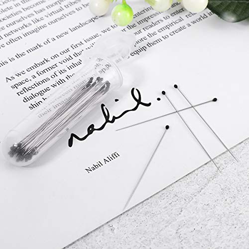 UKCOCO Paquete de 300 pines para insectos de acero inoxidable, tamaños 1 2 3 con un recipiente de plástico duro para entomología del laboratorio escolar Colectores de mariposas, polillas e insectos