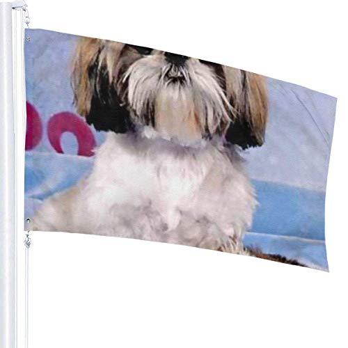 Viplili Banderas Outdoor Cute Dog A Garden Flag, Yard Flag - 3 X 5 Ft