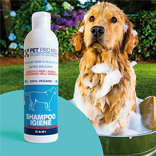 VIROSAC 140202 Champú Higiene 100% Vegano, Antibacteriano y dermoprotector para Perros Pet Pro Med. Pack de 250 ml de pH Neutro con Aloe Vera y tomillo.