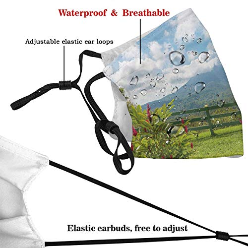 Vista del Volcán Arenal Desde el Punto de observación Costa Rica Vista panorámica Decoraciones faciales FA-CE Co-Ver con filtros Bandana