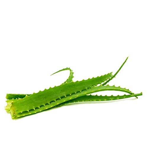 Vonderweid - Receta Del Padre Zago Variante con Agave, Suplemento Alimenticio Orgánico con Jugo y Pulpa de Aloe Arborescens, Miel d'Agave y Destilado de Trigo, 500 ml