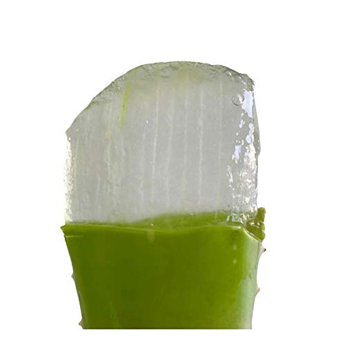 Vonderweid - Receta Del Padre Zago Variante con Agave, Suplemento Alimenticio Orgánico con Jugo y Pulpa de Aloe Arborescens, Miel d'Agave y Destilado de Trigo, 500 ml