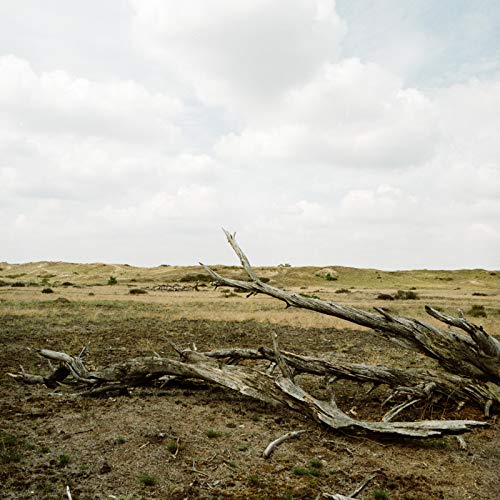 Water's Bride / Yoga Experience, Be Calm, Happy and Confident