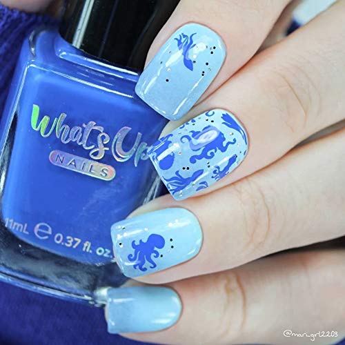 Whats Up Nails - B056 Coasting to the Sea Stamping Plate for Nail Art Design