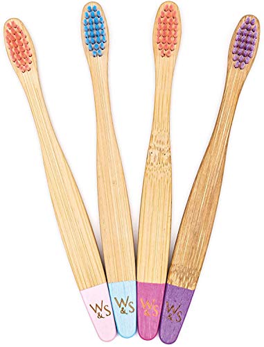Wild & Stone | Cepillo de dientes de bambú orgánico para niños | Paquete de 4 colores dulces | Cerdas de fibra blanda | Mango 100% biodegradable | Cepillos de dientes veganos orgánicos para niños