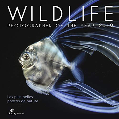 Wildlife Photographer of the Year 2019 : Les plus belles photos de nature (Ouvrages nationaux grand public)