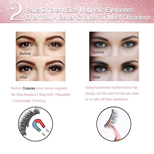 Winload Pestañas Magnéticas con Eyeliner, 2 Pares de 3D Pestañas Postizas Naturalescon 2 Piezas de Delineador de Ojos Impermeable, Pestañas Imantadas Reutilizables, No Se Necesita Pegamento,5 Imanes