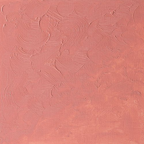 Winsor & Newton Winton - Tubo De Pintura al Óleo, 200 Ml, Tinta Carne