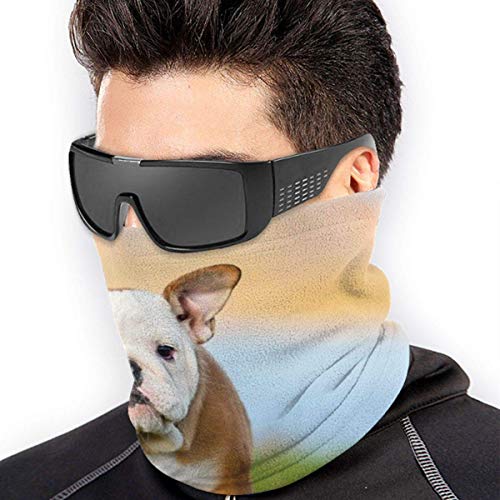 WlQshop Calentadores de Cuello Running Pug Dog Neck Gaiter Mascarilla Bufandas Headband For Men Women Sun UV Wind Dust Protection Skiing Riding Running