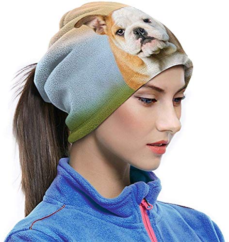 WlQshop Calentadores de Cuello Running Pug Dog Neck Gaiter Mascarilla Bufandas Headband For Men Women Sun UV Wind Dust Protection Skiing Riding Running