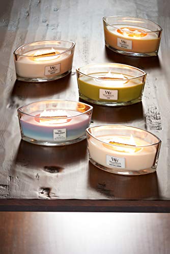 WoodWick vela aromática en forma de elipse, té blanco con jazmín