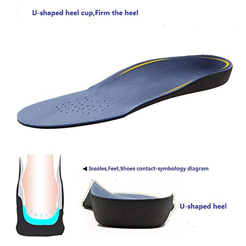 WSN Plantillas de Soporte de Arco Plantilla ortopédica, ortesis de Soporte de pie Plano para la Fascitis Plantar para aliviar el Dolor de talón, Unisex 1 par,L