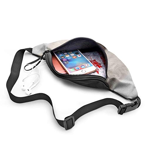 XCNGG Bolso de cintura corriente bolso de cintura de ocio bolso de cintura bolso de cintura de moda Polar Bear Colorful Belt Bag 13.7 X 5.5 inch Unisex Running Waist Packs Fashion Casual Waist Bag, Ca