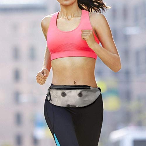 XCNGG Bolso de cintura corriente bolso de cintura de ocio bolso de cintura bolso de cintura de moda Polar Bear Colorful Belt Bag 13.7 X 5.5 inch Unisex Running Waist Packs Fashion Casual Waist Bag, Ca
