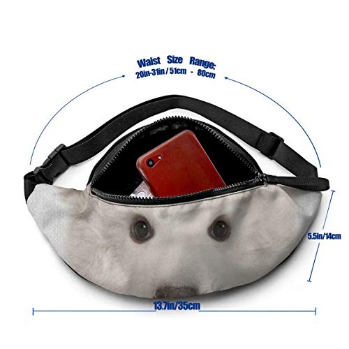 XCNGG Bolso de cintura corriente bolso de cintura de ocio bolso de cintura bolso de cintura de moda Polar Bear Colorful Belt Bag 13.7 X 5.5 inch Unisex Running Waist Packs Fashion Casual Waist Bag, Ca